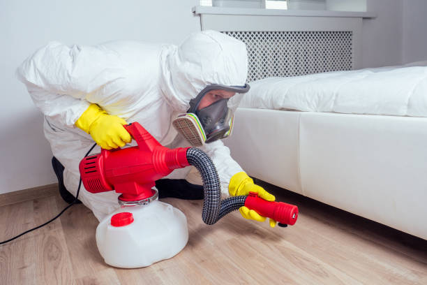 Professional Pest Control in Cressona, PA