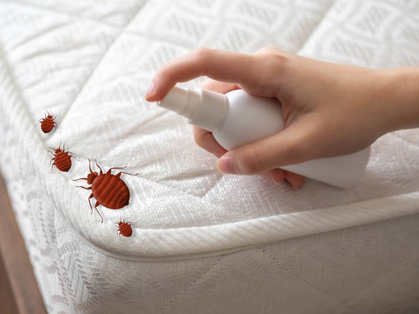 Best Insect Control  in Cressona, PA