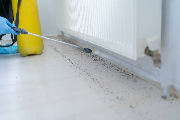 Best Best Pest Control Companies  in Cressona, PA
